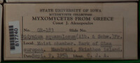 Image Associated With the Occurence